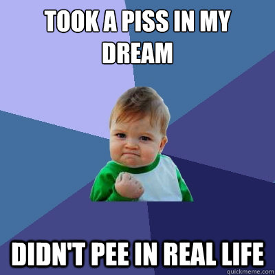 Took a piss in my dream Didn't pee in real life  Success Kid