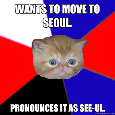 Wants to move to Seoul. Pronounces it as See-ul.  Koreaboo Kitty