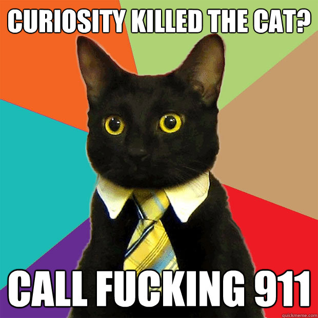 curiosity killed the cat? call fucking 911 - curiosity killed the cat? call fucking 911  Business Cat
