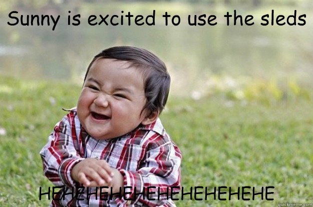 Sunny is excited to use the sleds HEHEHEHEHEHEHEHEHEHE  Evil Toddler