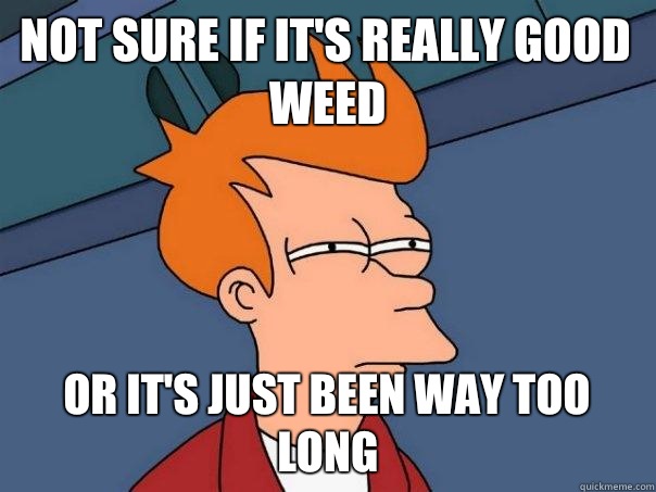 Not sure if it's really good weed Or it's just been way too long  Futurama Fry