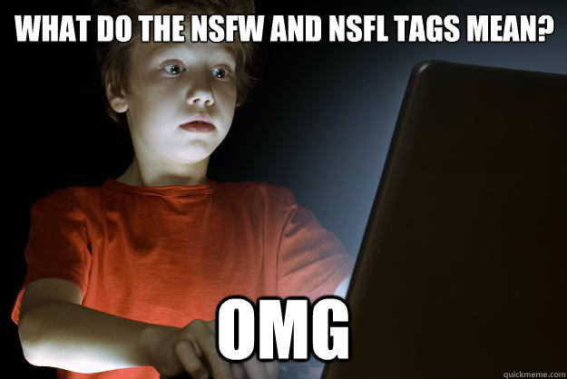What do the NSFW and NSFL tags mean?
                                               OMG - What do the NSFW and NSFL tags mean?
                                               OMG  scared first day on the internet kid
