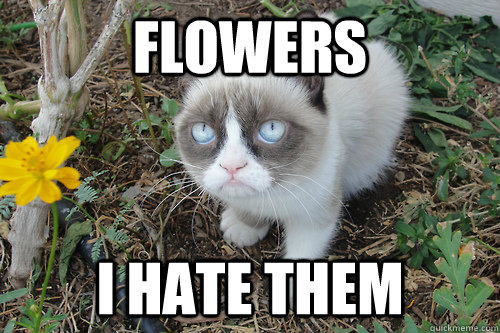 Flowers I hate them  