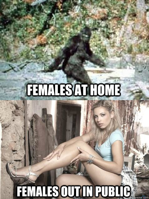 FEMALES AT HOME FEMALES OUT IN PUBLIC   