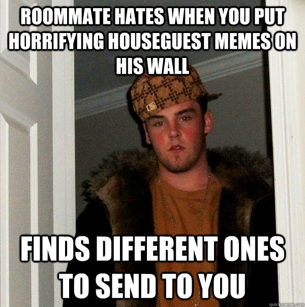 roommate hates when you put horrifying houseguest memes on his wall finds different ones to send to you  Scumbag Steve