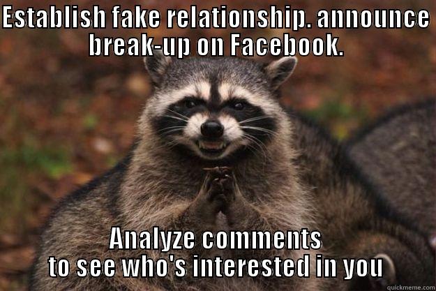 ESTABLISH FAKE RELATIONSHIP. ANNOUNCE BREAK-UP ON FACEBOOK. ANALYZE COMMENTS TO SEE WHO'S INTERESTED IN YOU Evil Plotting Raccoon