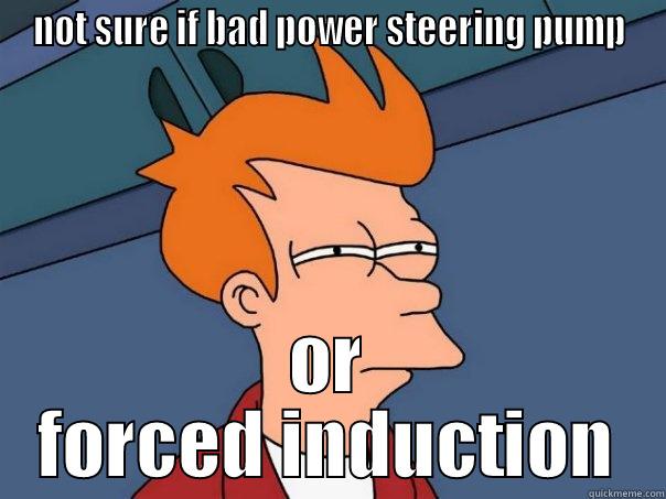 NOT SURE IF BAD POWER STEERING PUMP OR FORCED INDUCTION Futurama Fry