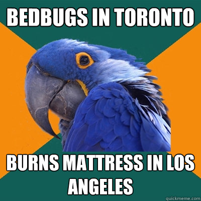 BEDBUGS IN TORONTO BURNS MATTRESS IN LOS ANGELES  Paranoid Parrot