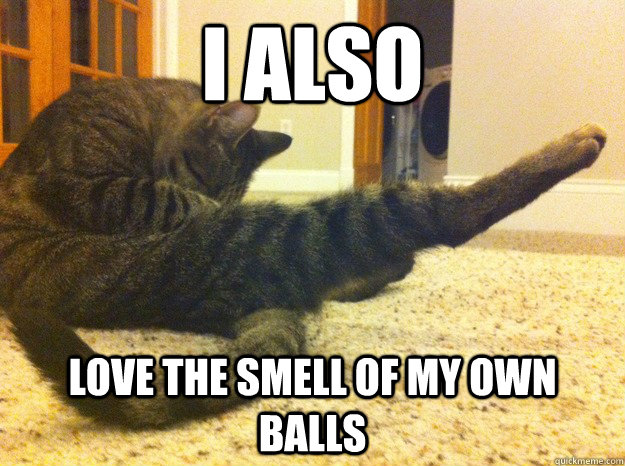 I also love the smell of my own balls - I also love the smell of my own balls  autofellatio cat
