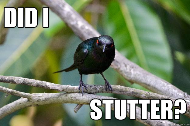 did i stutter?  