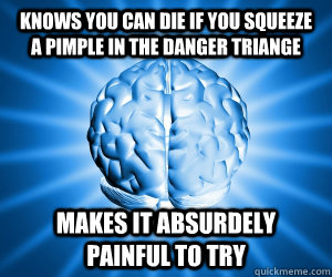 knows you can die if you squeeze a pimple in the danger triange makes it absurdely painful to try  Good Guy Brain