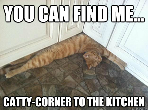 You can find me... Catty-Corner to the kitchen  Bad Directions Corner Cat