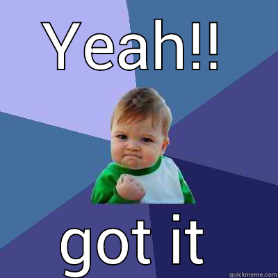 YEAH!! GOT IT Success Kid