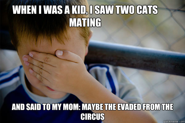 when i was a kid, i saw two cats mating and said to my mom: maybe the evaded from the circus - when i was a kid, i saw two cats mating and said to my mom: maybe the evaded from the circus  Misc