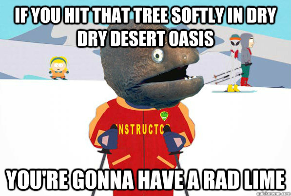 If you hit that tree softly in dry dry desert oasis you're gonna have a rad lime - If you hit that tree softly in dry dry desert oasis you're gonna have a rad lime  Bad Joke Ski Instructor