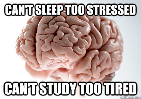 Can't sleep too stressed can't study too tired  Scumbag Brain