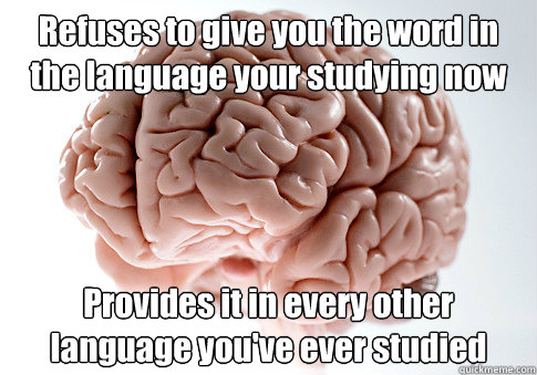 Refuses to give you the word in the language your studying now Provides it in every other language you've ever studied  Scumbag Brain