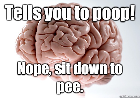 Tells you to poop! Nope, sit down to pee.   Scumbag Brain