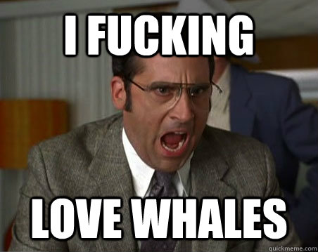 I FUCKING LOVE WHALES - I FUCKING LOVE WHALES  Anchorman I dont know what were yelling about