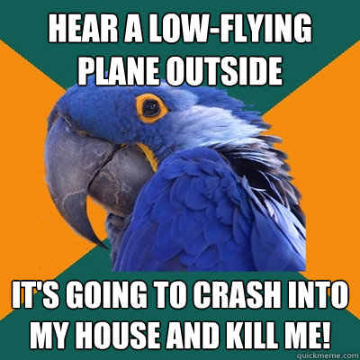 Hear a low-flying plane outside It's going to crash into my house and kill me!  Paranoid Parrot