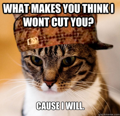 What makes you think I wont cut you? Cause I will.  Scumbag Cat