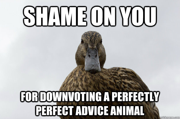 Shame on you for downvoting a perfectly perfect advice animal  judging duck
