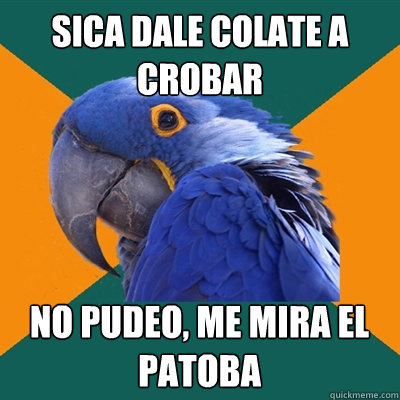 sica dale colate a crobar no pudeo, me mira el patoba  Paranoid Parrot