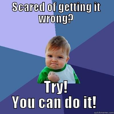 SCARED OF GETTING IT WRONG? TRY! YOU CAN DO IT!  Success Kid