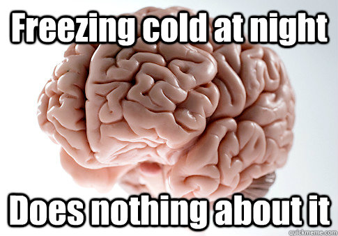 Freezing cold at night Does nothing about it   Scumbag Brain