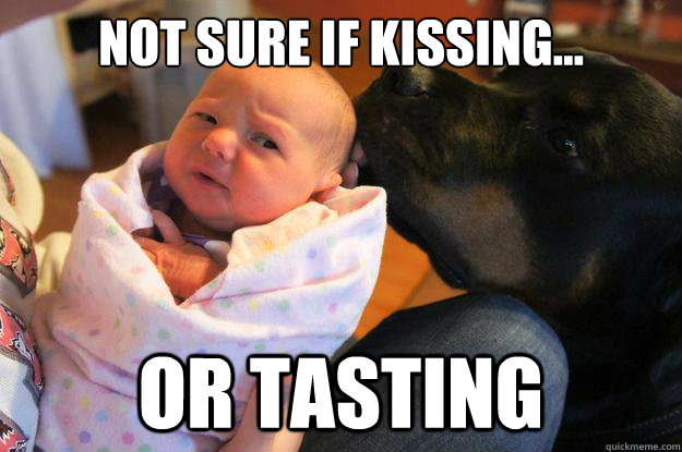 Not sure if Kissing... Or tasting  