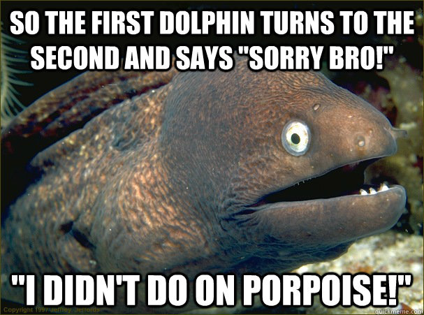 So the first dolphin turns to the second and says 