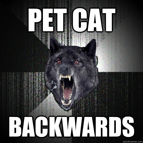 Pet cat BACKWARDS  Insanity Wolf