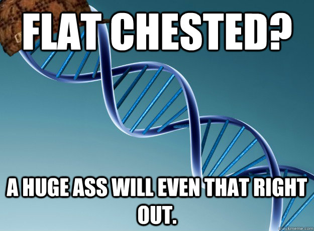 Flat chested? a huge ass will even that right out. - Flat chested? a huge ass will even that right out.  Scumbag Genetics