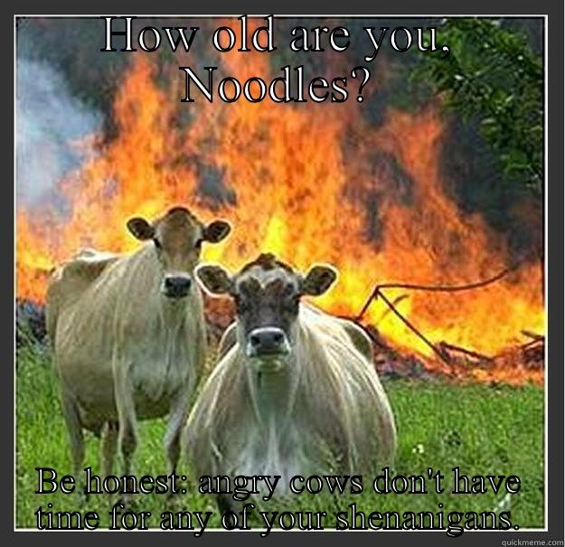 Birthday inferno - HOW OLD ARE YOU, NOODLES? BE HONEST: ANGRY COWS DON'T HAVE TIME FOR ANY OF YOUR SHENANIGANS. Evil cows