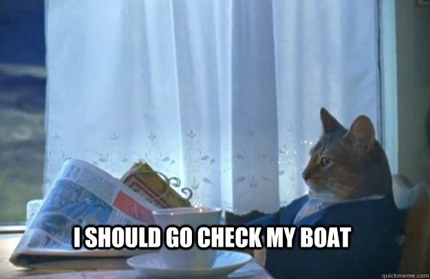 I should go check my boat  Sophisticated Cat