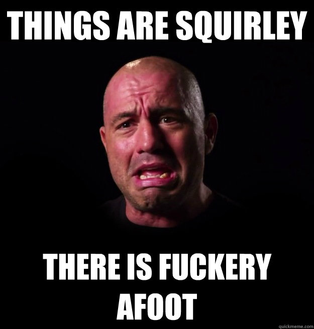 Things are squirley there is fuckery afoot - Things are squirley there is fuckery afoot  Sad Rogan