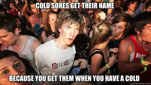 Cold sores get their name because you get them when you have a cold - Cold sores get their name because you get them when you have a cold  Sudden Clarity Clarence