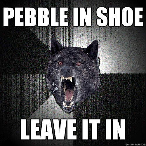 pebble in shoe leave it in  Insanity Wolf