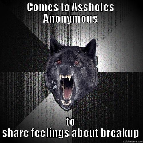 COMES TO ASSHOLES ANONYMOUS TO SHARE FEELINGS ABOUT BREAKUP Insanity Wolf