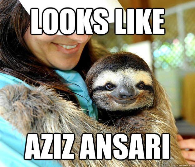 looks like aziz ansari - looks like aziz ansari  Plotting sloth