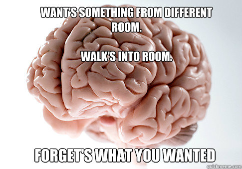 WANT'S SOMETHING FROM DIFFERENT ROOM.

WALK'S INTO ROOM. FORGET'S WHAT YOU WANTED  Scumbag Brain