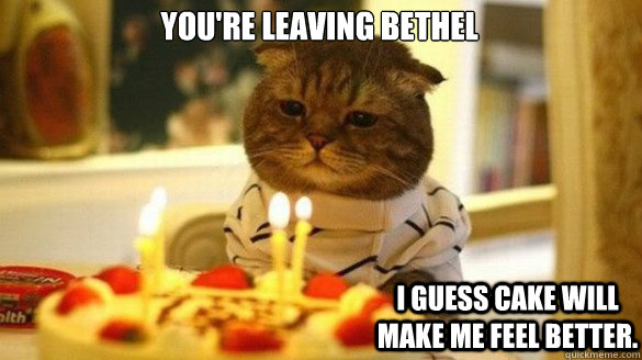 You're leaving Bethel I guess cake will make me feel better.   sad cat cake