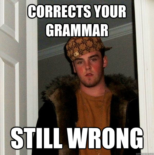 Corrects your grammar still wrong  Scumbag Steve