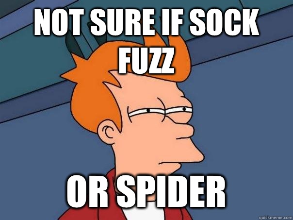 Not sure if sock fuzz Or spider  Futurama Fry