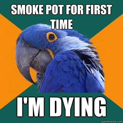 Smoke pot for first time I'm dying  Paranoid Parrot