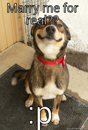 MARRY ME FOR REAL?? :P Good Dog Greg