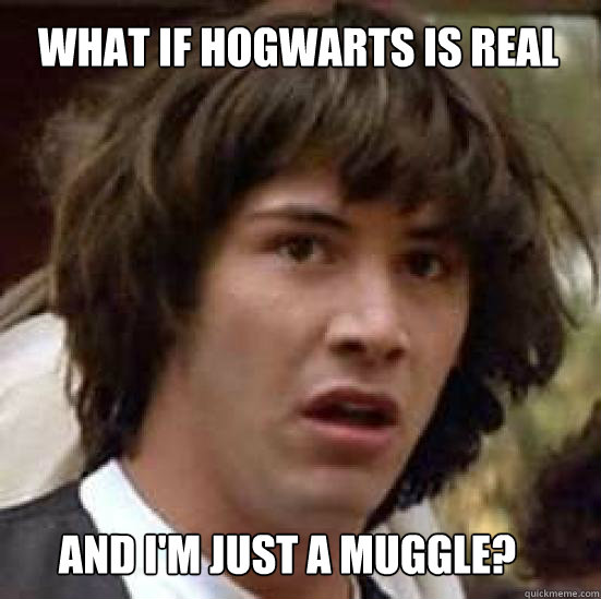 What if hogwarts is real and i'm just a muggle? - What if hogwarts is real and i'm just a muggle?  conspiracy keanu