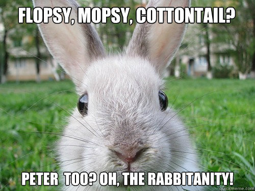 flopsy, mopsy, cottontail? peter  too? Oh, the rabbitanity!  Rabbit webcam