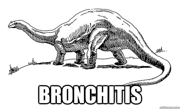 Bronchitis -  Bronchitis  Bronchitisaur