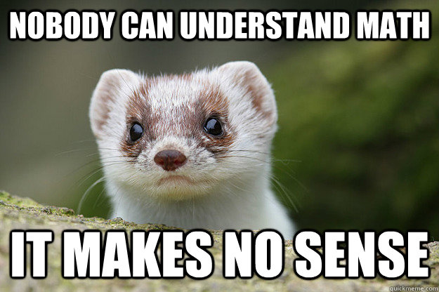 nobody can understand math it makes no sense - nobody can understand math it makes no sense  English Major Ermine